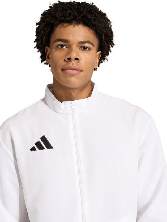 adidas adidas