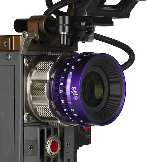 7artisans Voller Rahmen Kameraobjektiv Floral Bloom 37mm T2.9 PL Festbrennweite für Arri PL Mount Purple