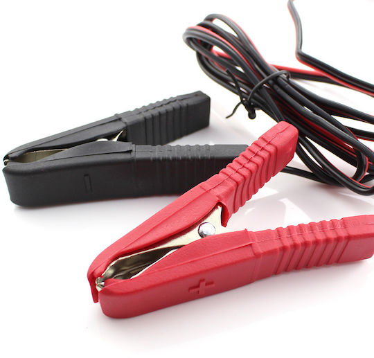 CarGuard Încărcător Baterii Automobil și Motocicletă 12V