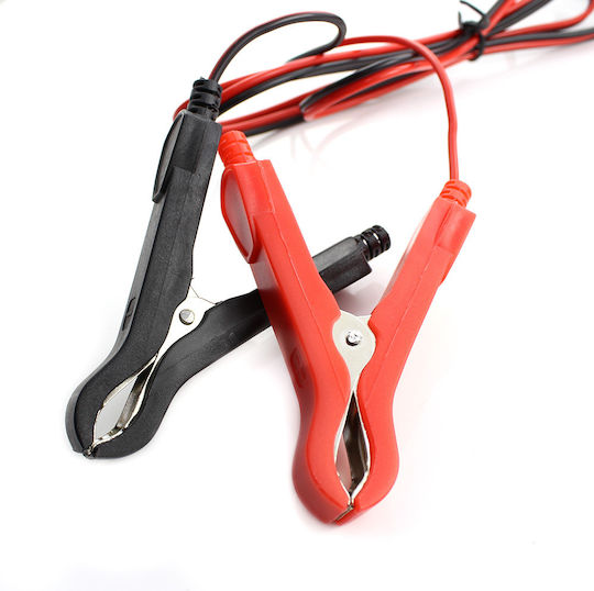 CarGuard Încărcător Baterie Auto & Motocicletă 6/12V