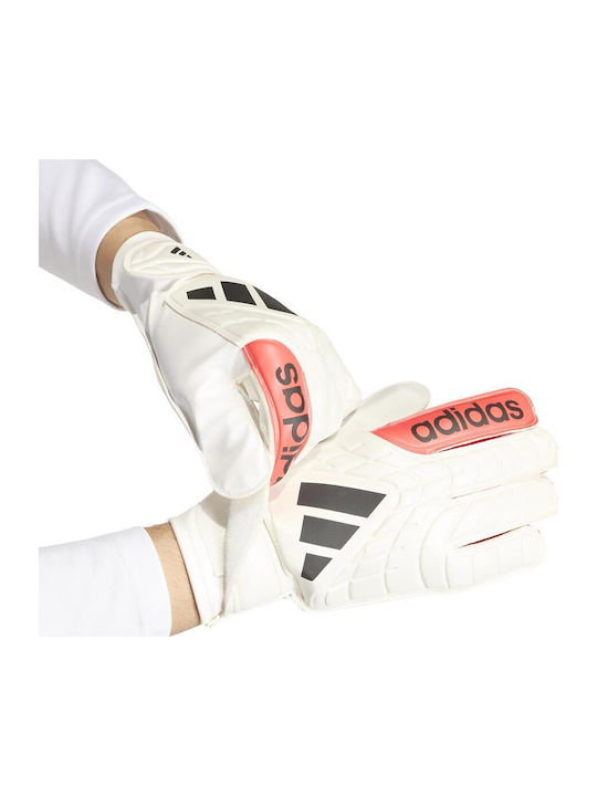 adidas Copa Adults Goalkeeper Gloves White
