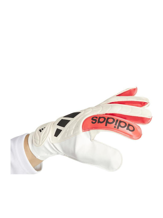 adidas Copa Adults Goalkeeper Gloves White
