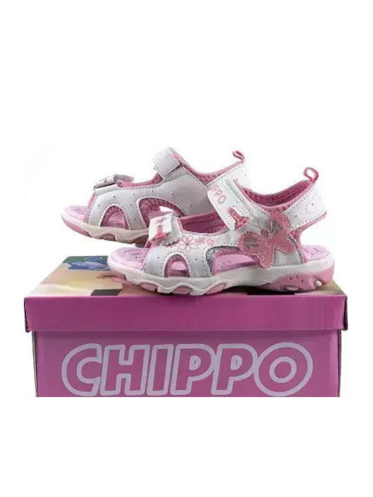 Chippo