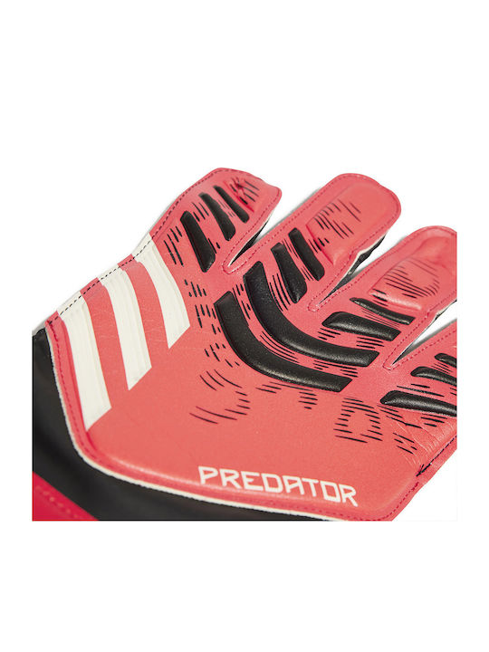 adidas Performance Pred Adults Goalkeeper Gloves Black