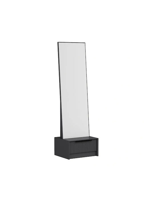 SteweHome Oglindă De Podea Cu Cadru Din Plastic Antracit 178x54cm