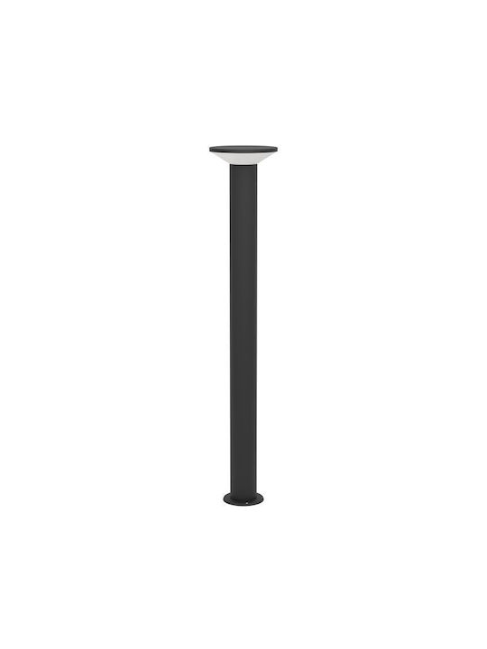 Eglo Outdoor Floor Lamp LED 37cm Eglo Outdoor Floor Lamp LED 37cm