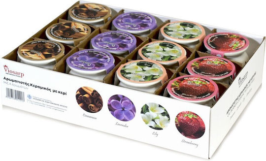 Viosarp Αρωματιστής για Αιθέρια Έλαια 5206753051213-3 9gr
