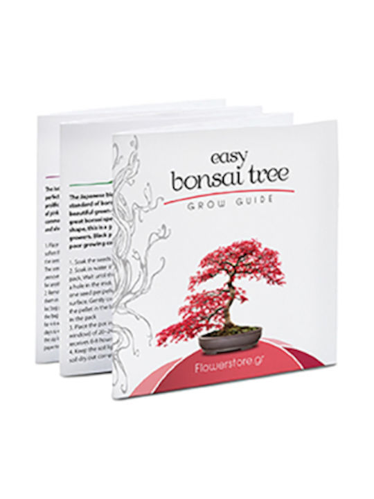 Bonsai Kit Geschenkset – Kultiviere Dein Eigenes Bonsai 4 Bäume