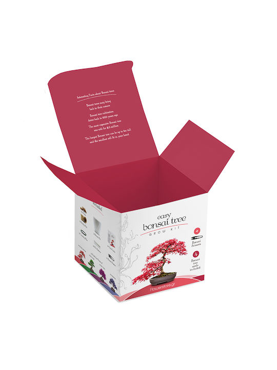 Bonsai Kit Geschenkset – Kultiviere Dein Eigenes Bonsai 4 Bäume