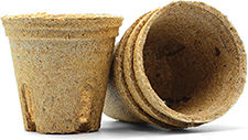 Бонсай Комплект Подарък – Отгледай Своето Бонсай 4 Дървета
