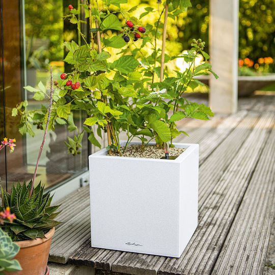 Canto with selfwatering system Pot Plastic White Canto with selfwatering system Pot Plastic White