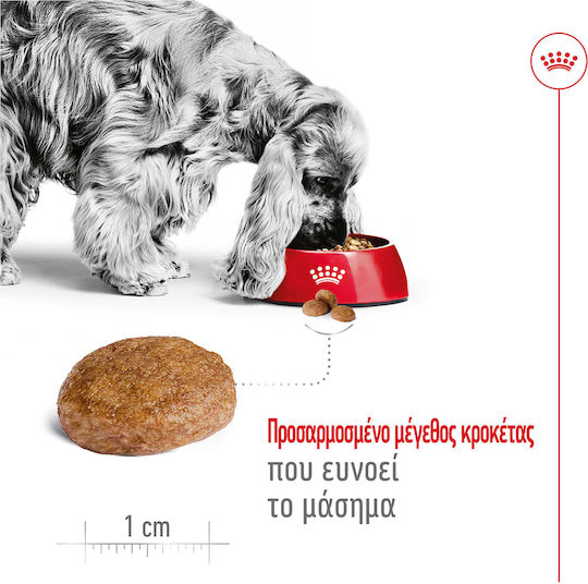 Royal Canin Medium Adult 7+ 15kg Dry Food for Senior Medium Breed Dogs with Poultry and Rice