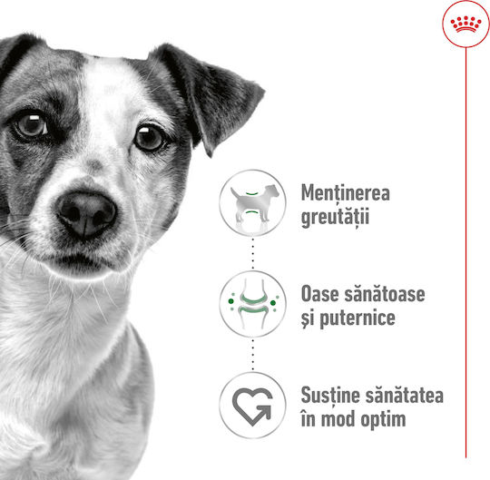 Royal Canin Mini Adult 2kg Dry Food for Adult Small Breed Dogs with Poultry
