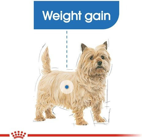 Royal Canin Light Weight Care Mini 1kg Dry Food Diet for Adult Small Breed Dogs with Poultry and Rice