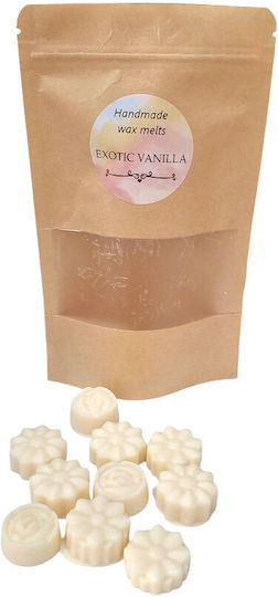 Kalliopi Silver Fragrance Wax Melt with Fragrance Vanilla WX-7016 9pcs