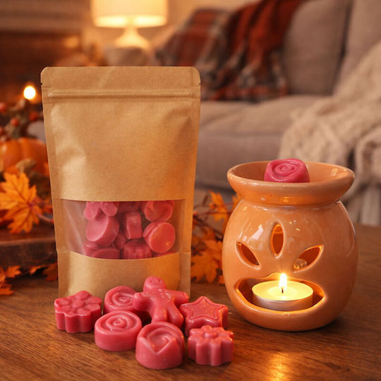 Kalliopi Silver Fragrance Wax Melt with Fragrance Pomegranate WX-7013 9pcs