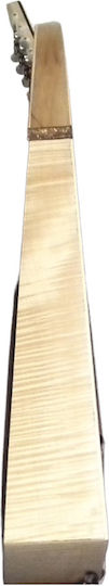 Acoustic Mandolin