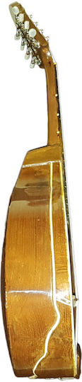 Acoustic Mandolin