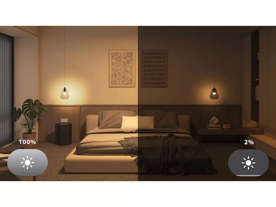 Philips Smart Lampe Philips Hue LED 8W für Fassung E27 und Form A60