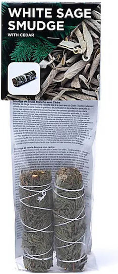 Mani The translated Liquid template in German language: Weihnachtskerzen & Kerzenständer Grün 2Stück
