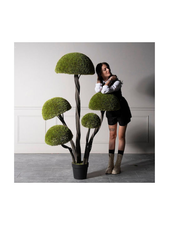 Supergreens UV Изкуствено Дърво Бонсай Мъх Гъба Пентапло Зелен 180 См