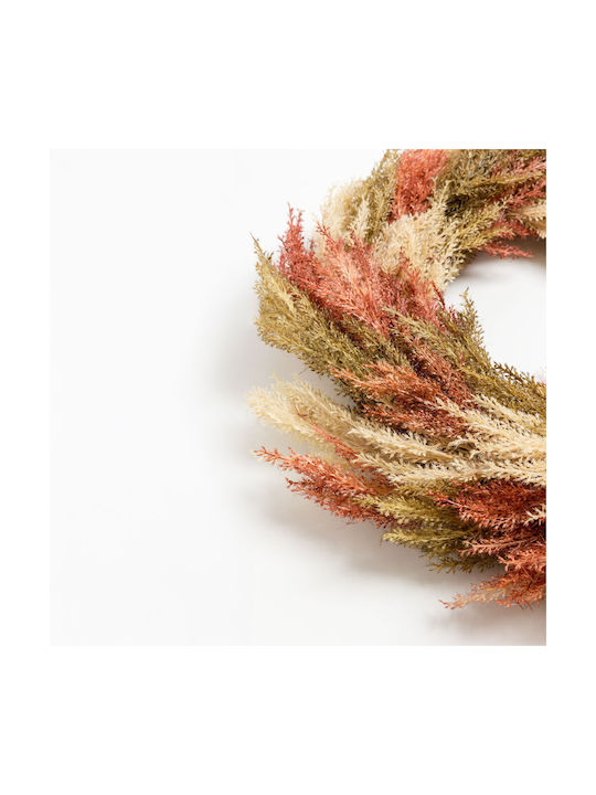 Στεφάνι από Pampas grass Πολύχρωμο 60cm InTheBox