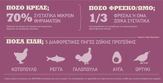 Acana Kitten First Feast Ξηρά Τροφή χωρίς Σιτηρά για Ανήλικες Γάτες με Κοτόπουλο / Ρέγγα 0.34kg