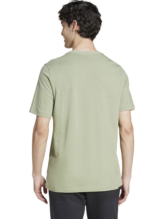 adidas Future Icons Badge Of Sport T-shirt Πράσινο