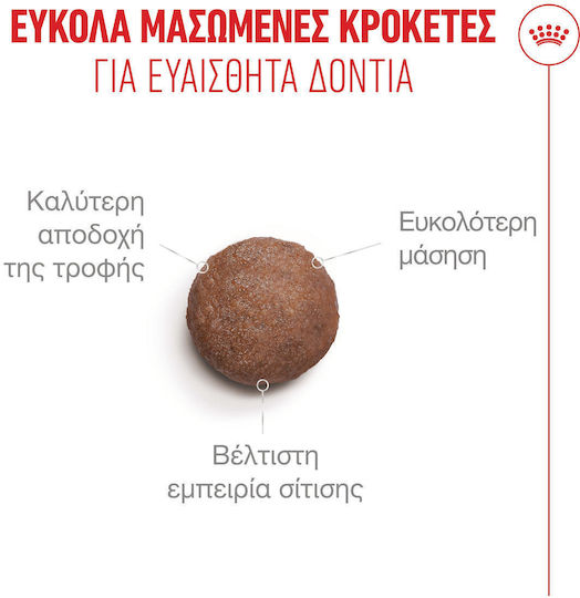 Royal Canin Ageing 11+ Ξηρά Τροφή για Ηλικιωμένες Γάτες με Πουλερικά 2kg