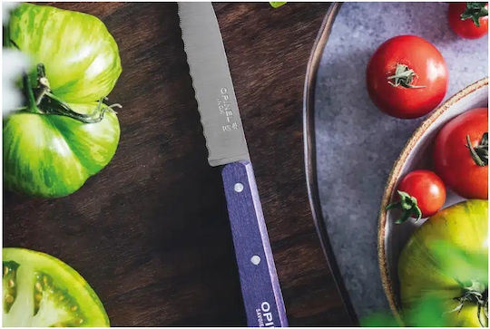 Opinel Γενικής Χρήσης 10cm