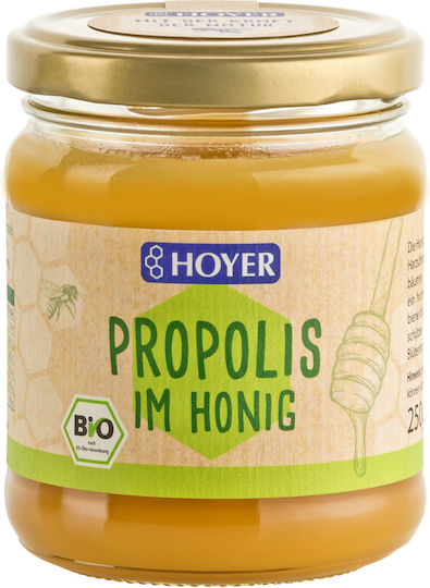 Hoyer Βιολογικό Μέλι 250gr