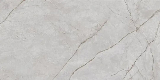 Placă În aer liber Porțelanat Mat 120x60cm Gri