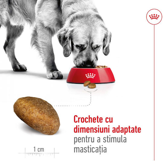 Royal Canin Maxi Adult 12kg Dry Food Gluten-Free for Adult Large Breed Dogs with Poultry and Rice