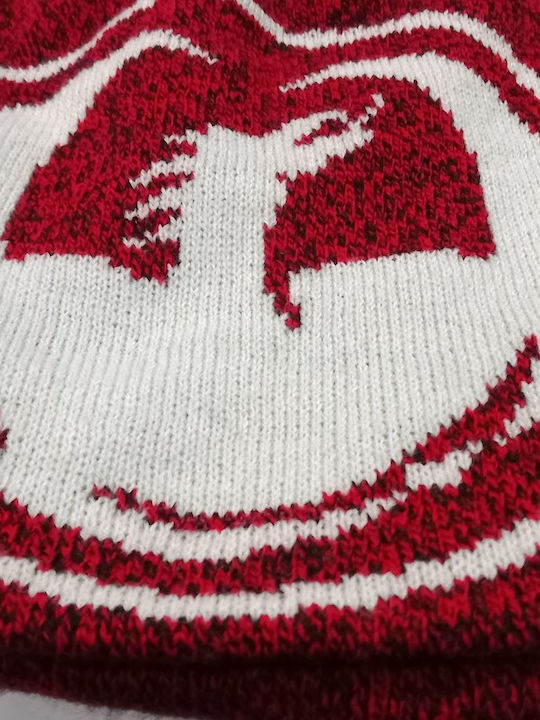 Beanie Unisex Beanie Gestrickt in Rot Farbe