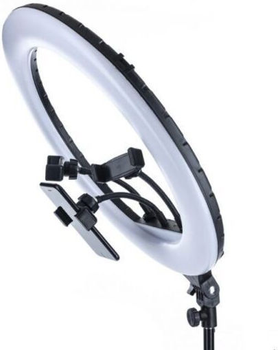 Ring Light 45.72cm with Tripod Floor and Mobile Holder