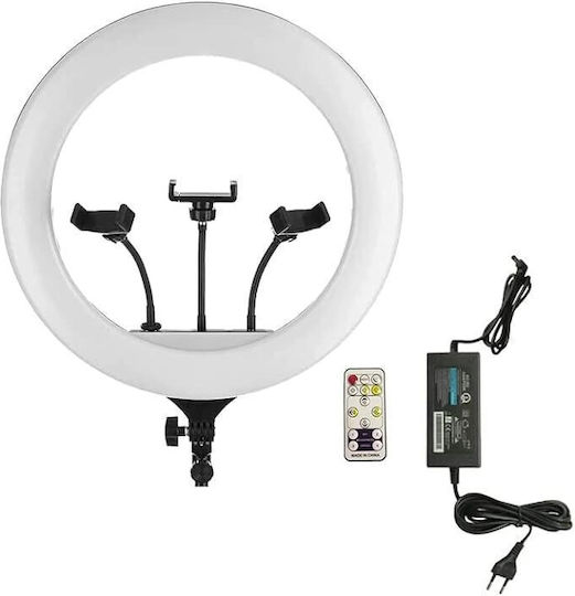 Ring Light 45.72cm with Tripod Floor and Mobile Holder