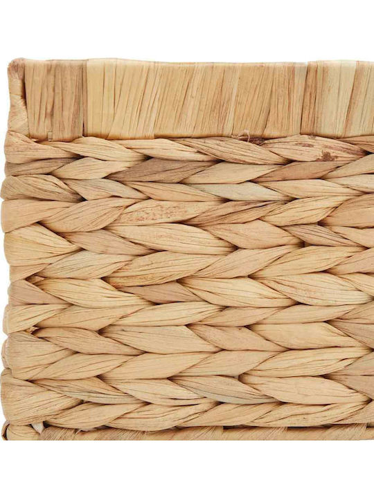 vidaXL Καλάθι Αποθήκευσης 40x30x18cm 3τμχ