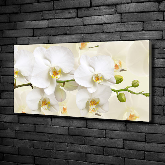Dekoratives Gemälde Segeltuch Zuhause Büro Orchidee 100x50 cm