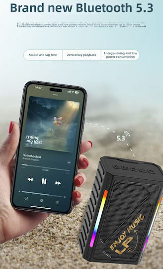 Bluetooth Speaker 10W with Radio and Battery Life up to 5 hours Black LP-V101