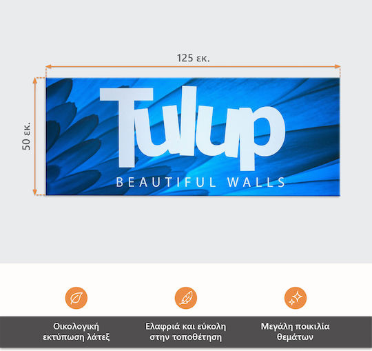 Πίνακας Καμβά Υπνοδωμάτιο Αισθητική Διακόσμηση Γκράφιτι 125x50 Cm