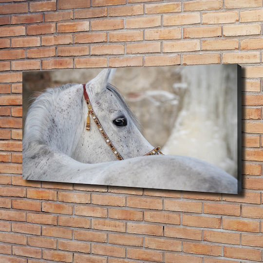Panou Pânză Birou Spațiu Profesional Cal Arab Alb 120x60 Cm