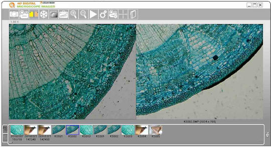 Digital Microscope Camera 5MP