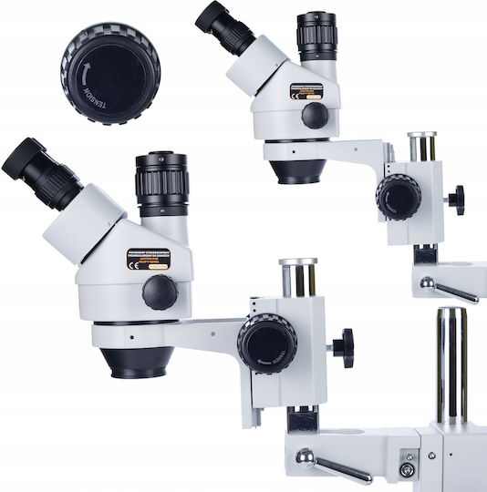 Rosfix Stereo with Monitor Microscope