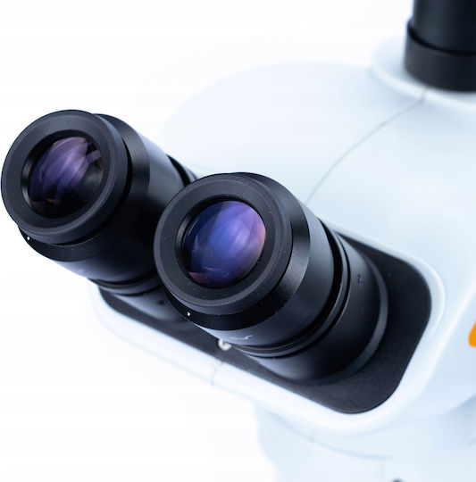Rosfix Stereo / Biological Educational Trinocular Microscope