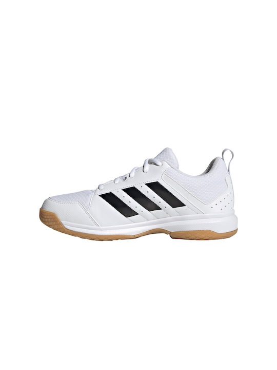 Ligra 7 Sport Shoes Volleyball Cloud White / Core Black