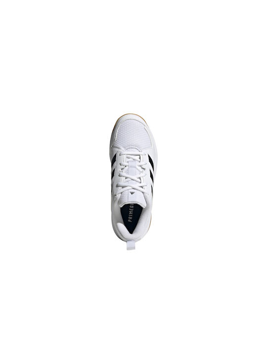 Ligra 7 Sport Shoes Volleyball Cloud White / Core Black