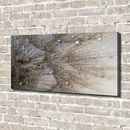 Panou De Perete Din Pânză Materiale Durabile Semințe De Păpădie 140x70 Cm