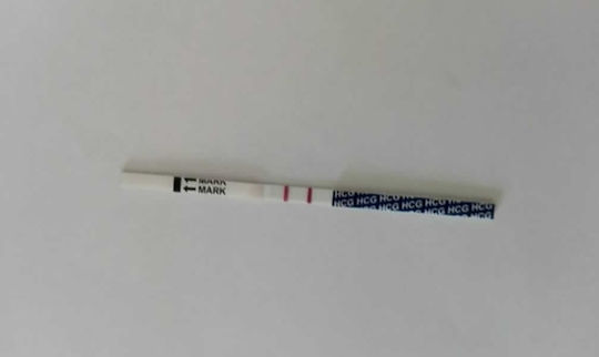 10 Ovulation Test Strips & 3 Pregnancy Test Strips