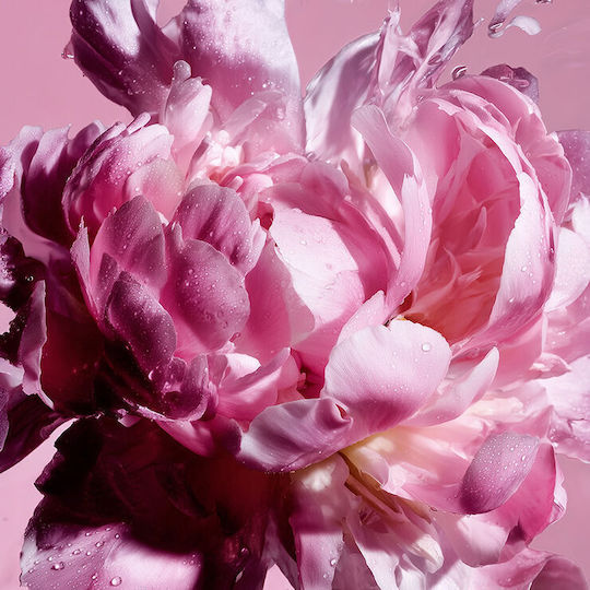 Viktor & Rolf Flowerbomb Pretty Peony Eau de Parfum 30ml