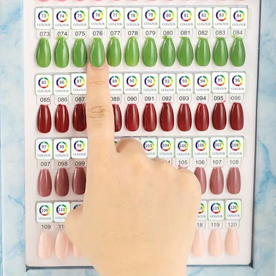 Magnetic Color Chart Book for 120 Nail Polish Slots & Magnetic Gel Clear Almond Tips